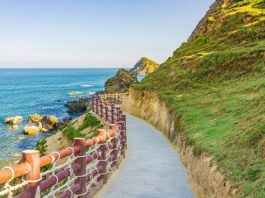 Vé máy bay giá rẻ đi Quy Nhơn Du lịch Quy Nhơn, sân bay Quy Nhơn và phương tiện đi vào thanh phố Quy Nhơn