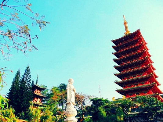 Mua vé máy bay giá rẻ đi Pleiku ở đâu? Kinh nghiệm săn vé máy bay giá rẻ đi Pleiku chỉ từ 99k