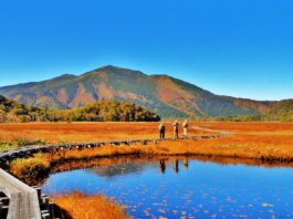 Vé máy bay đi Fukushima, Khám phá vẻ đẹp Nhật cùng với Fukushima, Thưởng thức ẩm thực Nhật cùng vé máy bay đi Fukushima