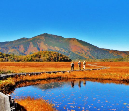 Vé máy bay đi Fukushima, Khám phá vẻ đẹp Nhật cùng với Fukushima, Thưởng thức ẩm thực Nhật cùng vé máy bay đi Fukushima
