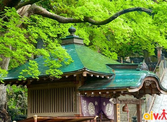 Vé máy bay đi Narita (NRT) Nhật Bản giá rẻ, những địa điểm du lịch nổi tiếng của Narita