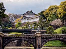 Vé máy đi Tokyo giá rẻ chỉ từ 85 USD, Bí kíp du lịch Tokyo tự túc tiết kiệm, Tìm vé máy bay đi Tokyo giá rẻ như thế nào?