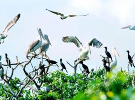 Vé máy bay giá rẻ đi Cà Mau - Khám phá cực nam Tổ Quốc, Cách di chuyển từ sân bay tới trung tâm thành phố Cà Mau