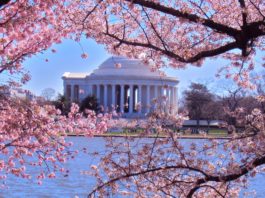 Một vài kinh nghiệm để có chuyến đi Washington DC trọn vẹn nhất, Đặt vé máy bay đi Washington giá rẻ