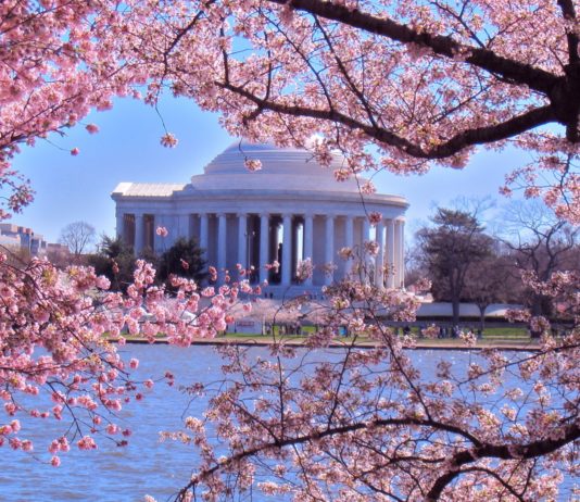 Một vài kinh nghiệm để có chuyến đi Washington DC trọn vẹn nhất, Đặt vé máy bay đi Washington giá rẻ
