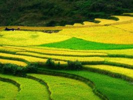 Vé máy bay đi Điện Biên khứ hồi giá rẻ, Mua vé máy bay giá rẻ đi Điện Biên cần lưu ý điều gì? Kinh nghiệm du lịch Điện Biên tự túc giá rẻ
