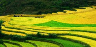 Vé máy bay đi Điện Biên khứ hồi giá rẻ, Mua vé máy bay giá rẻ đi Điện Biên cần lưu ý điều gì? Kinh nghiệm du lịch Điện Biên tự túc giá rẻ