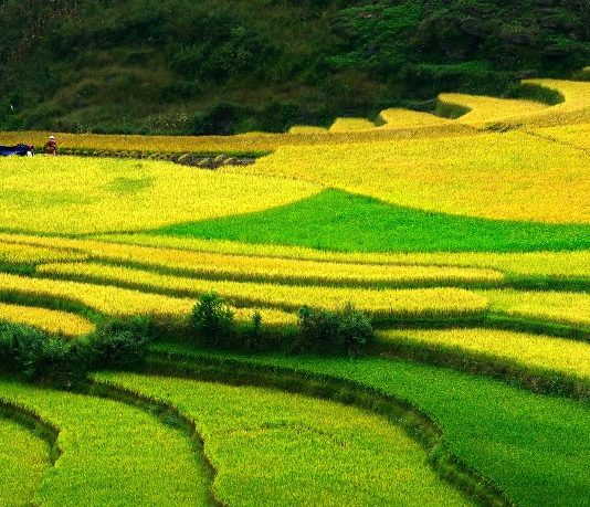 Vé máy bay đi Điện Biên khứ hồi giá rẻ, Mua vé máy bay giá rẻ đi Điện Biên cần lưu ý điều gì? Kinh nghiệm du lịch Điện Biên tự túc giá rẻ