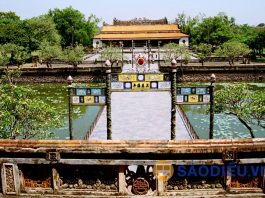 Vé máy bay Cà Mau đi Huế của Vietnam Airlines, Tổng hợp mẹo săn vé máy bay giá rẻ