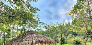 Vé máy bay Đà Nẵng đi Huế của Bamboo Airways, Du lịch Thanh Tân Huế tắm suối khoáng nóng cực kỳ mỹ mãn