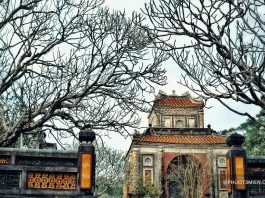 Vé máy bay Gia Lai đến Huế giá rẻ của Jetstar, Đại lý đặt vé máy bay uy tín