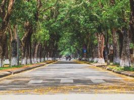 Vé máy bay giá rẻ Quảng Bình đi Huế của Bamboo Airways, Top đại lý đặt vé máy bay đi Huế uy tín