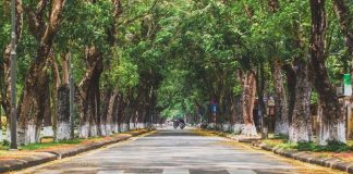 Vé máy bay giá rẻ Quảng Bình đi Huế của Bamboo Airways, Top đại lý đặt vé máy bay đi Huế uy tín
