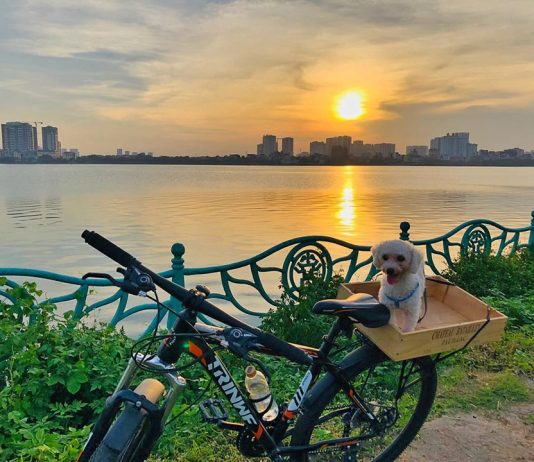 Vé máy bay giá rẻ Quy Nhơn đi Hà Nội của Vietjet Air, 17 điều phải làm vào mùa thu Hà Nội không để phí hoài thanh xuân